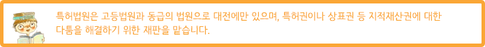 Æ¯Çã¹ý¿øÀº °íµî¹ý¿ø°ú µ¿±ÞÀÇ ¹ý¿øÀ¸·Î ´ëÀü¿¡¸¸ ÀÖÀ¸¸ç, Æ¯Çã±ÇÀÌ³ª »óÇ¥±Ç µî ÁöÀûÀç»ê±Ç¿¡ ´ëÇÑ ´ÙÅùÀ» ÇØ°áÇÏ±â À§ÇÑ ÀçÆÇÀ» ¸Ã½À´Ï´Ù.